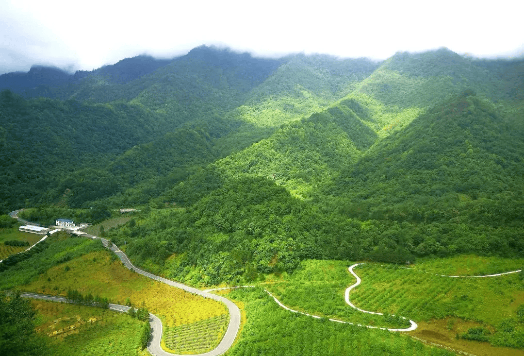 归野山林图片