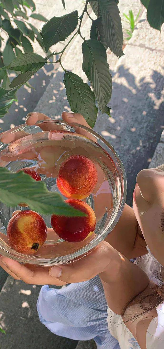 323031313530353437壁纸|iphone壁纸