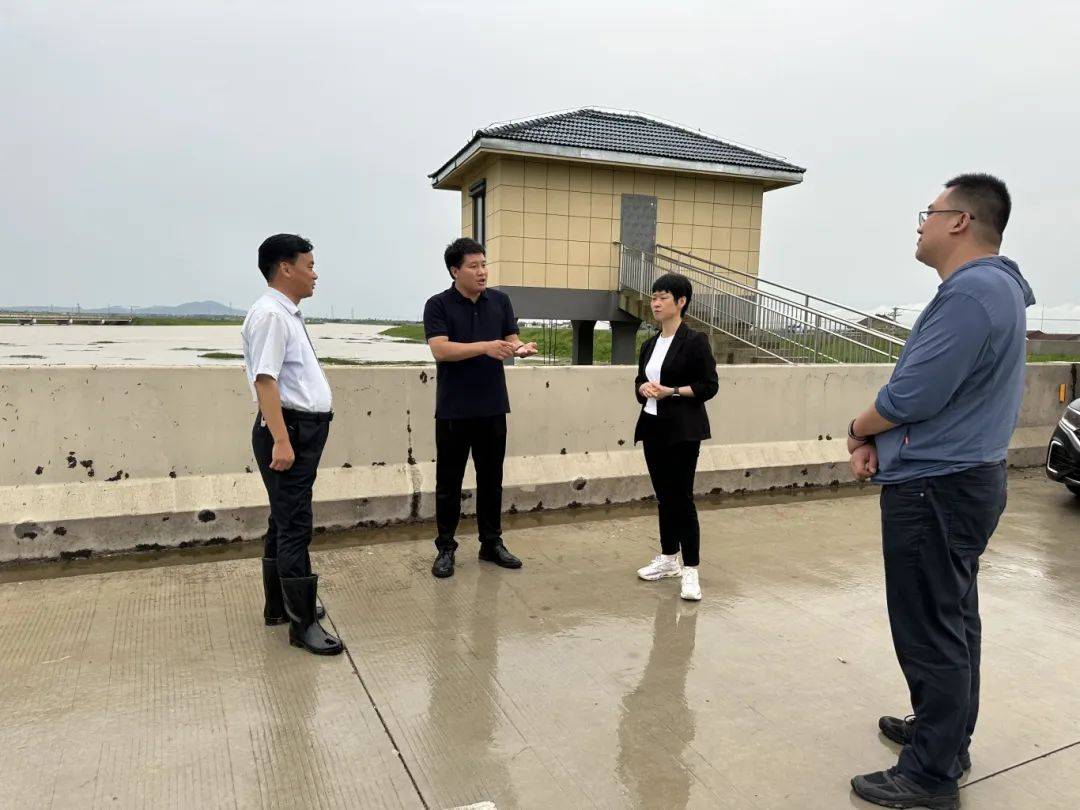 县委常委,常务副县长董邦义到庐江台创园指导巡堤查险工作,要求落实落