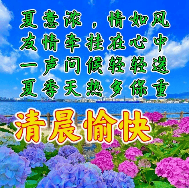 中老年早上好表情包大全