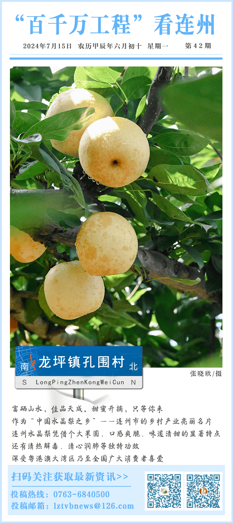 "百千万工程"看连州:品连州水晶梨,享寿乡幸福甜