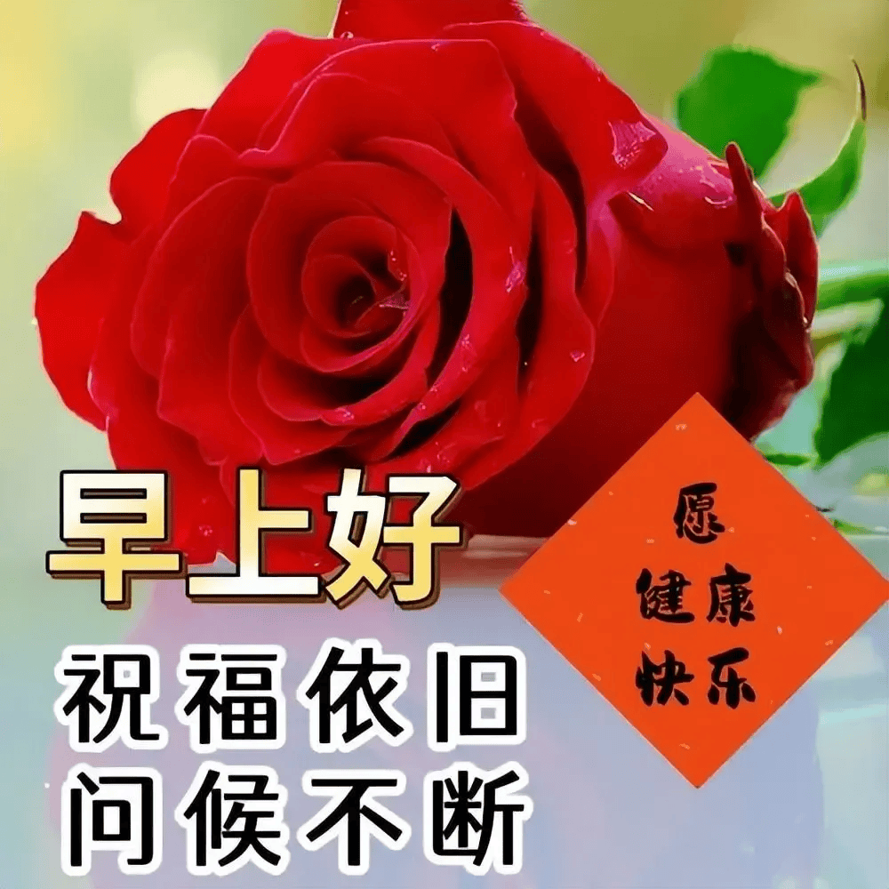 2024年7月16日最新早上好祝福语图片大全 精选早安问候祝福图片带字