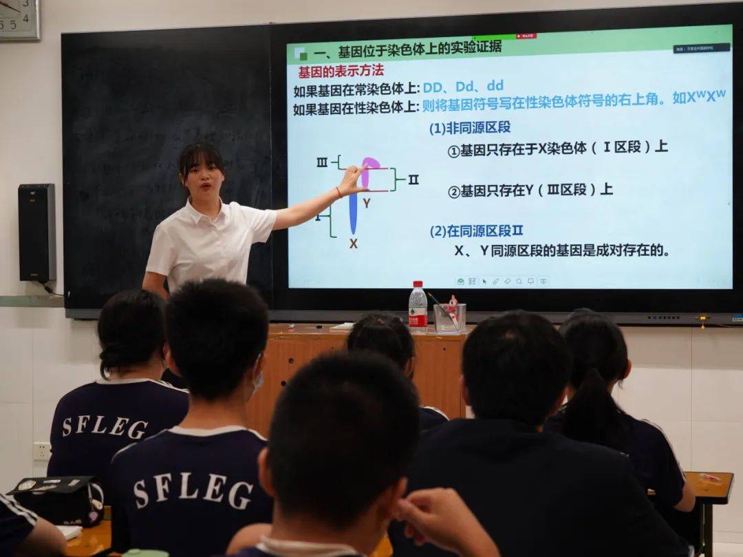 【石外科研】基于ssl教学构建高中生物学深度学习课堂的实践研究