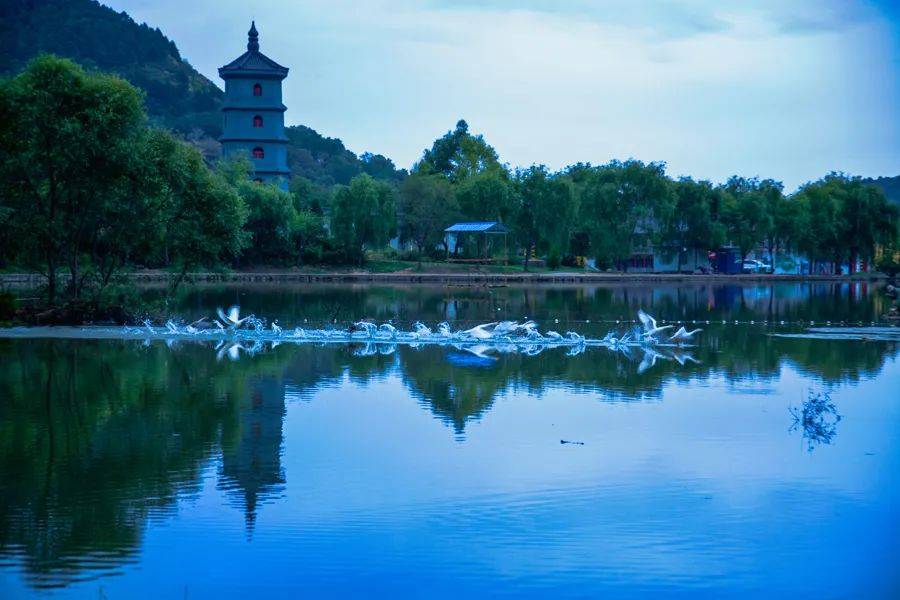 "美丽铜川我的家"主题摄影(短视频)大赛获奖作品展播(四)