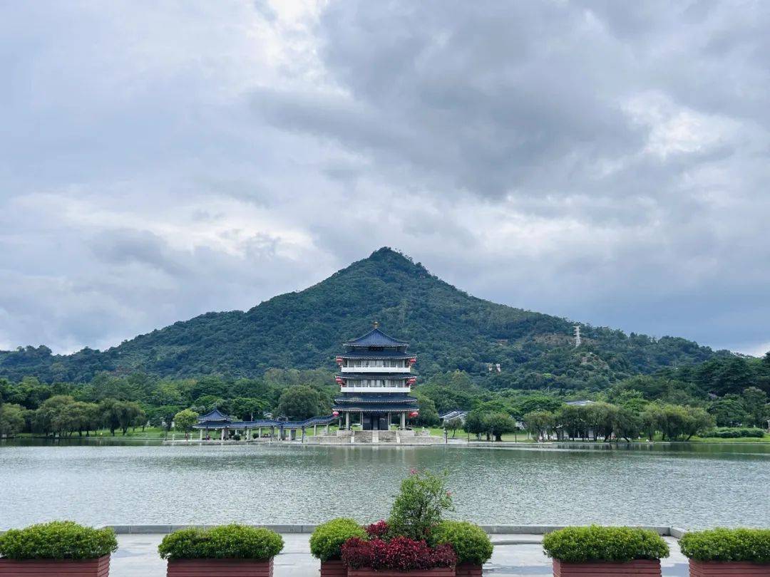 职业技术学院护理学院"梦飞天使志愿服务队"漳州云霄县 将军山之行