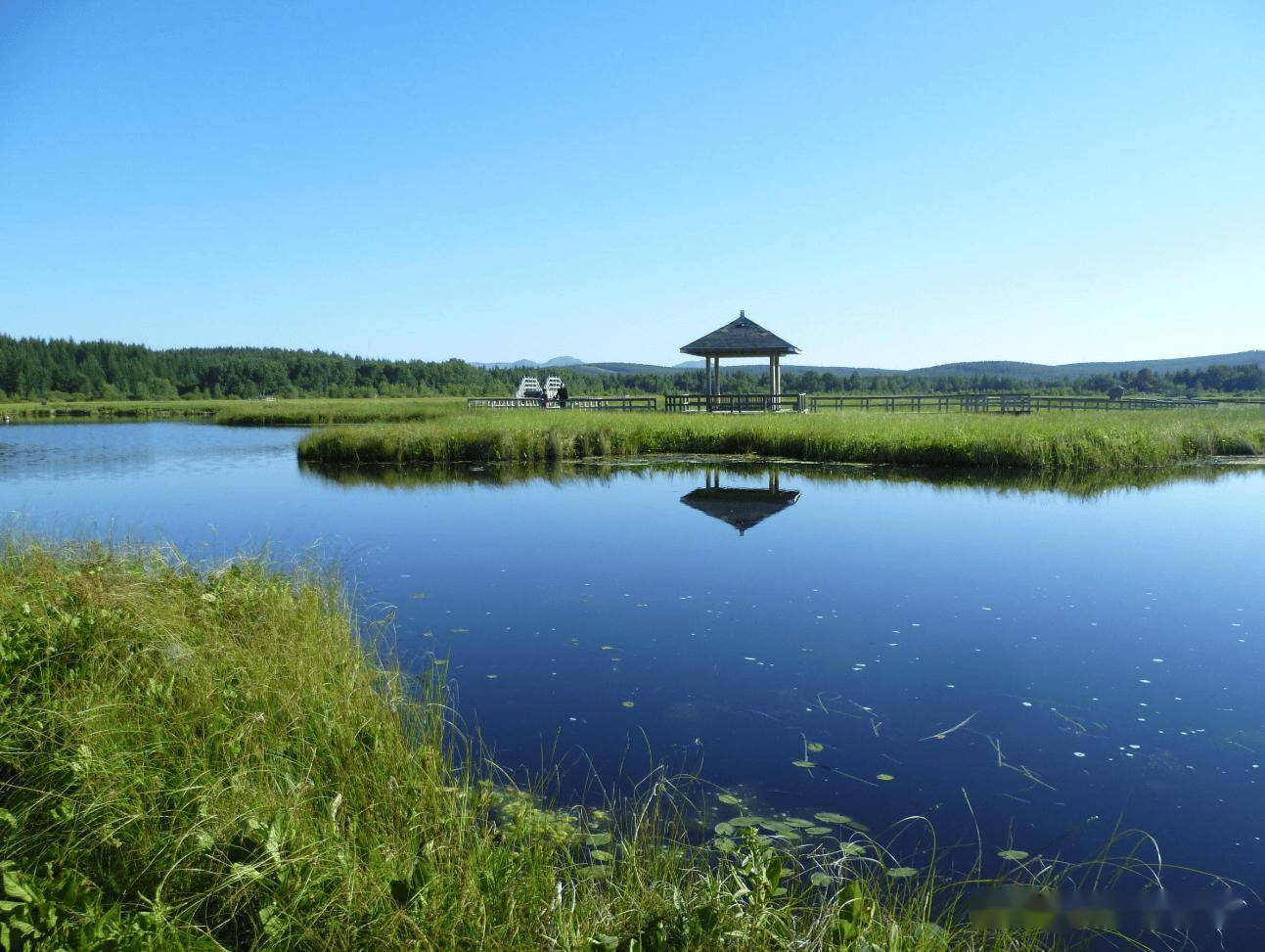 探秘河北避暑胜地"七星湖",邂逅塞罕坝的仙境