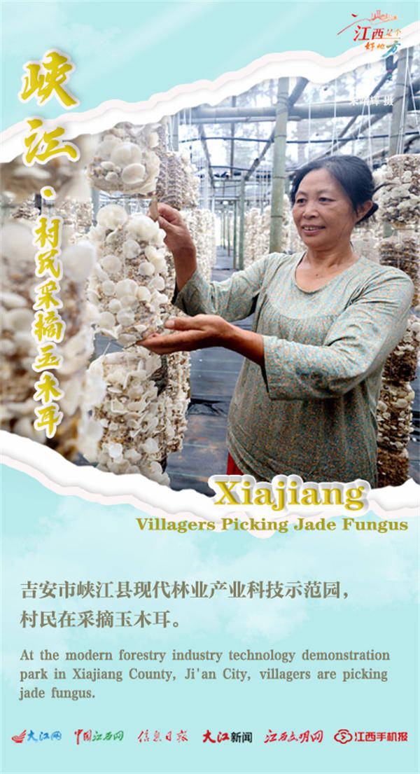 【双语海报】江西:"鱼米之乡"迎来夏日大丰收/the "land of fish and