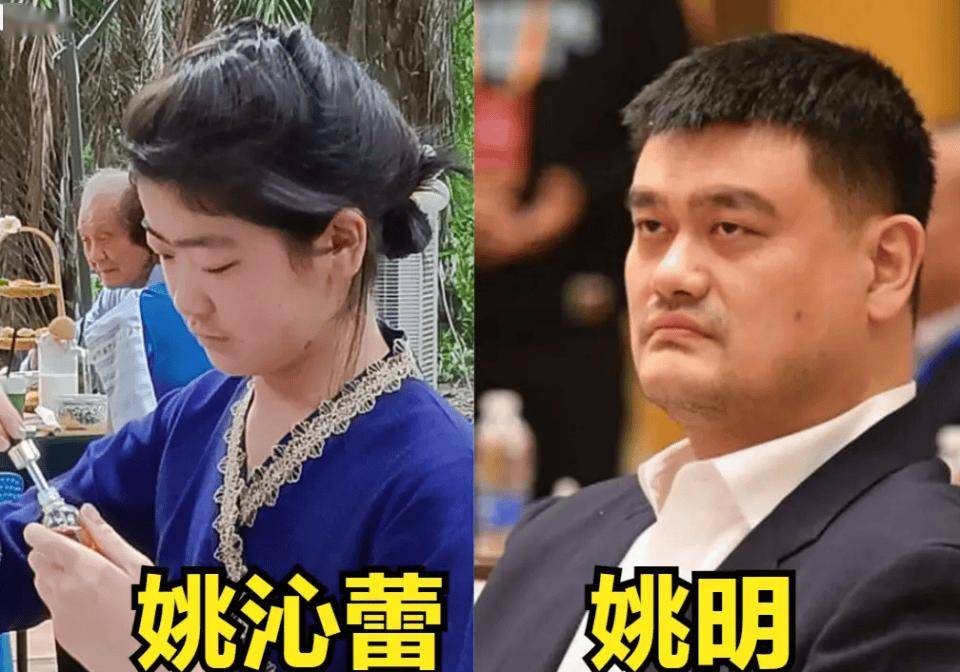 姚明女儿身高已超妻子叶莉,200斤体重穿着朴素,身高有望达2米15