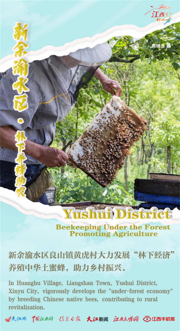 【双语海报】江西:"鱼米之乡"迎来夏日大丰收/the "land of fish and