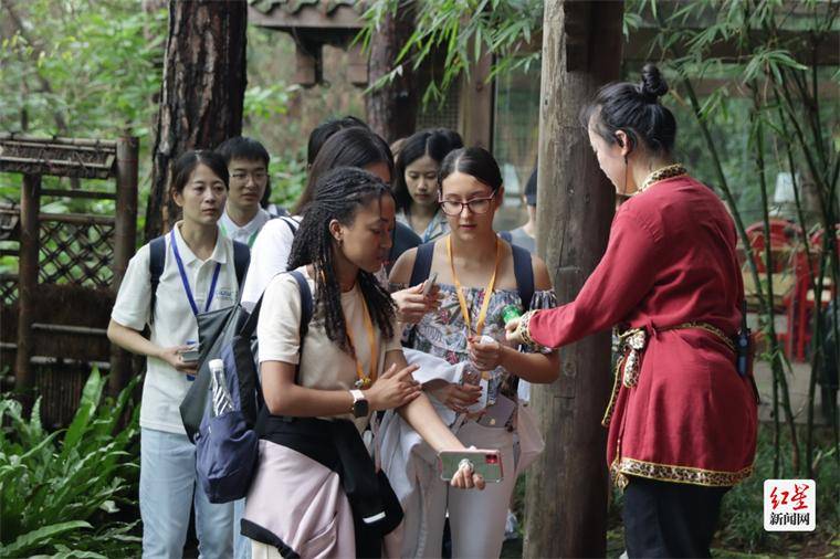 🌸健康报网 【澳门王中王港澳王中王】_利用周末48小时旅行，我已经去过十几座城市了