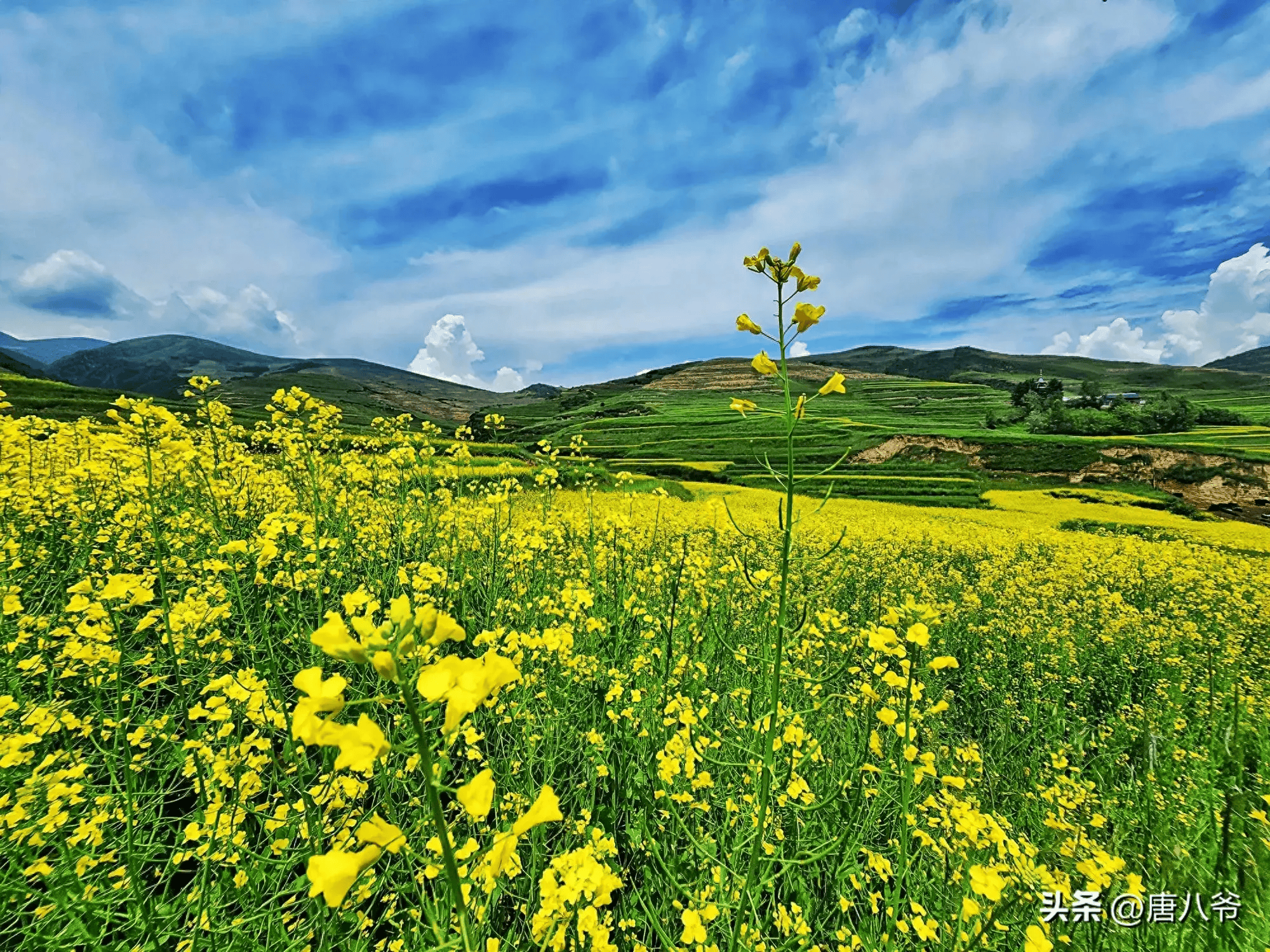 美丽的田园美景风景如画