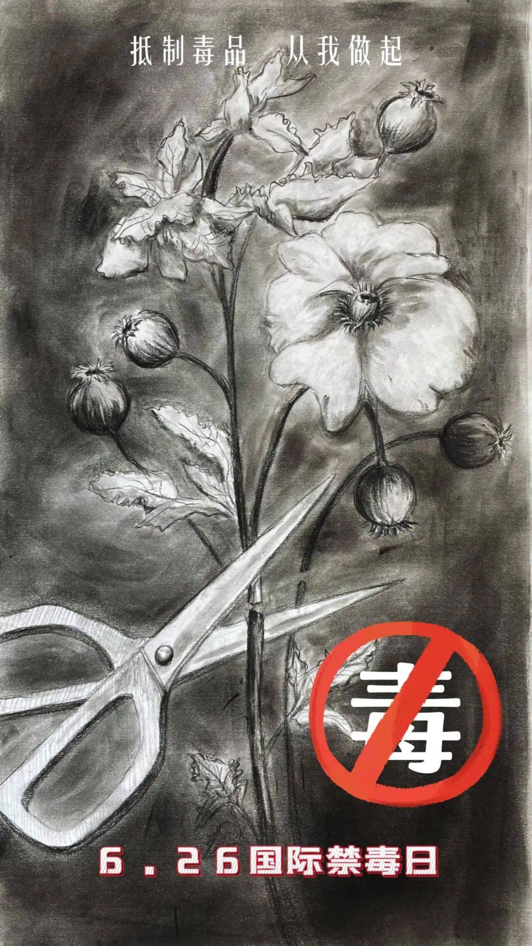 南宁市第二届禁毒公益海报,手抄报创意设计大赛公益海报类入围名单