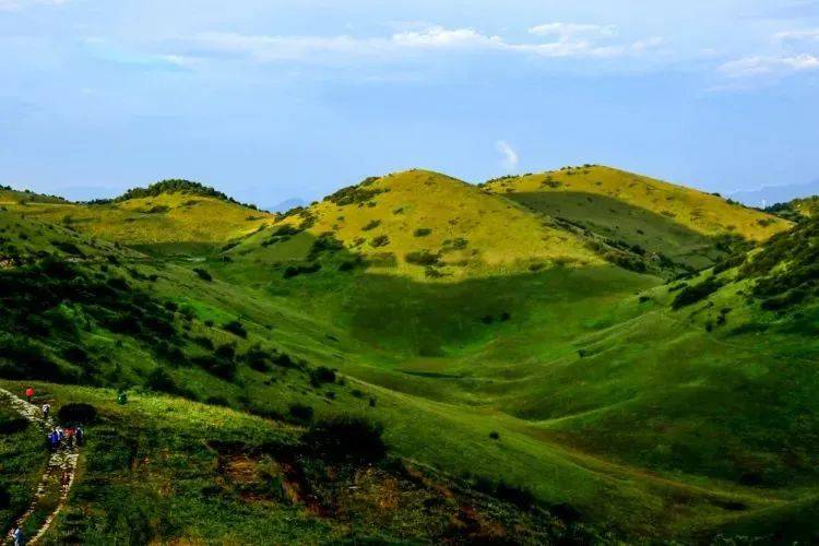 确山鲍棚村大草原图片