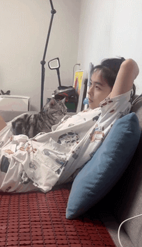 204_355gif 动态图 动图