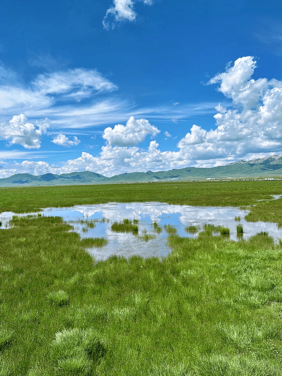 若尔盖大草原旅游景点图片