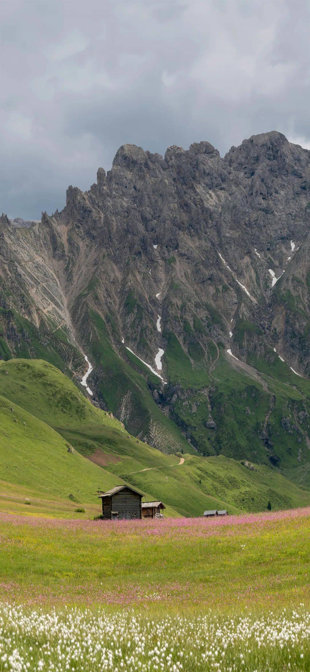 壁纸 草原 风景 桌面 1080_2340 竖版 竖屏 手机