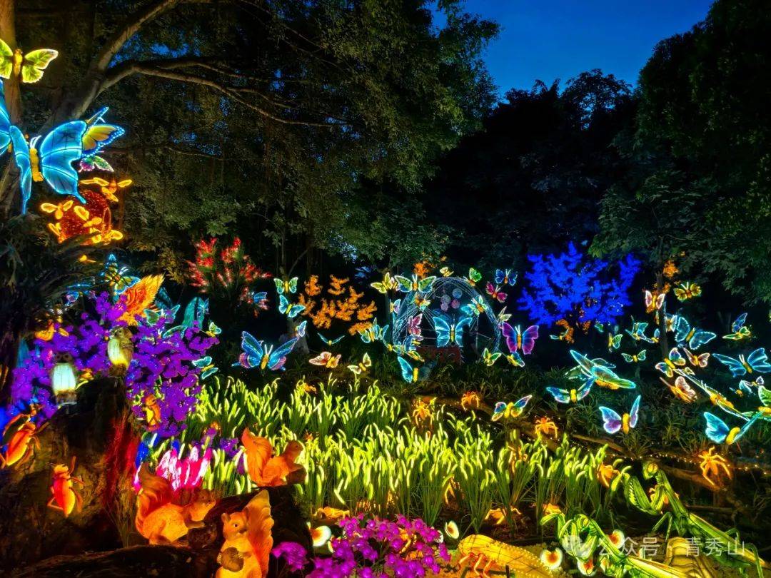 仲夏狂欢夜!"南宁夜花园",带你穿越光影世界