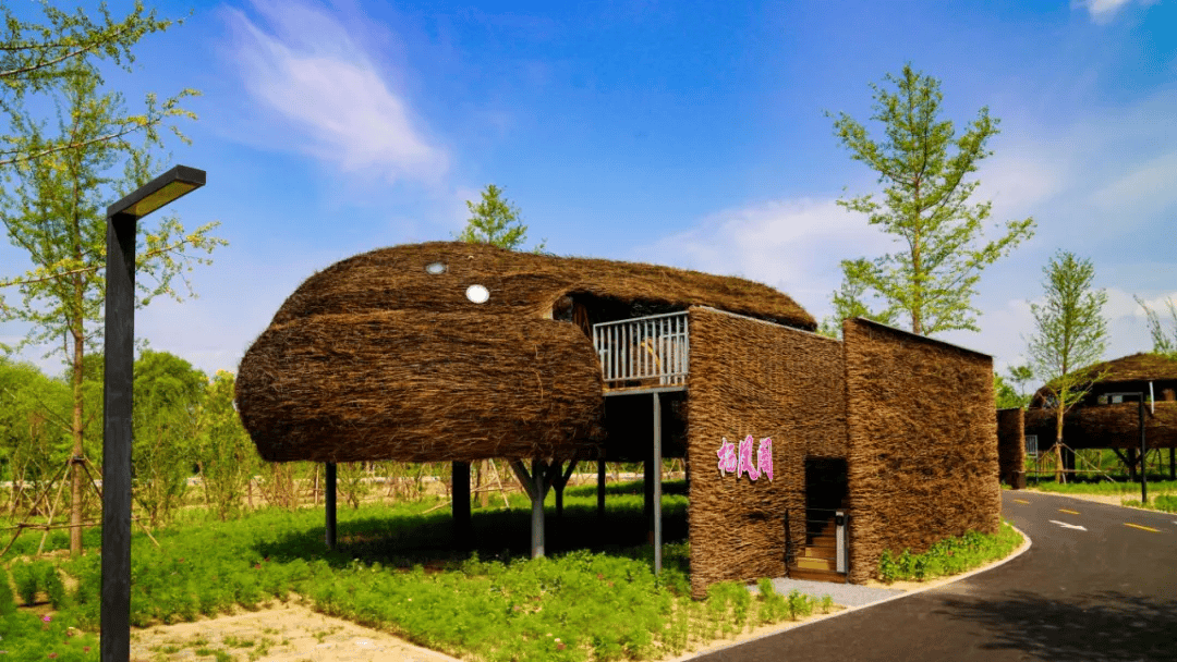 走进官厅水库国家湿地公园