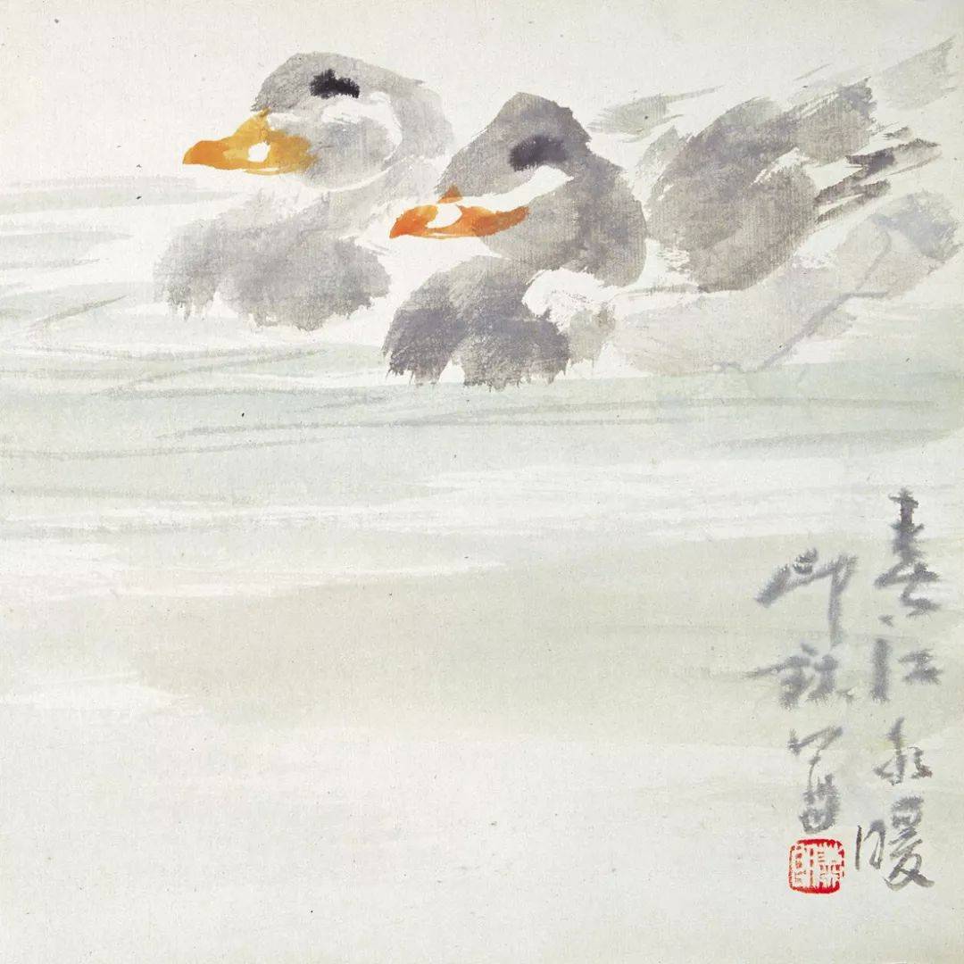 萧朗禽鸟画的好(百幅),收藏学习离不了