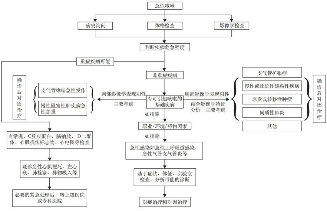 指南速递|中国咳嗽基层诊疗与管理指南