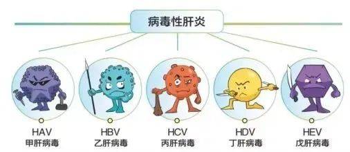 世界肝炎日:"肝"货来袭,准备好接招了吗?
