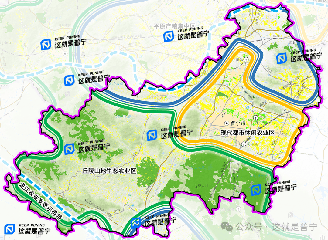 揭阳市发布重点建设大坪,后溪乡,船埔,高埔,梅林等青梅产业集群,支持