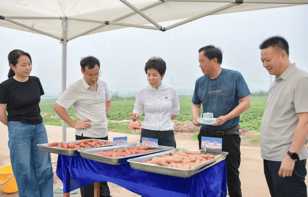 洛阳市汝阳县县委书记图片