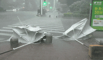 有了这把硬核伞狂风暴雨都不怕