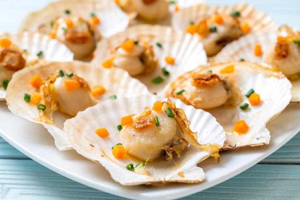 揭秘海洋美味,扇贝,它真的是海鲜吗?