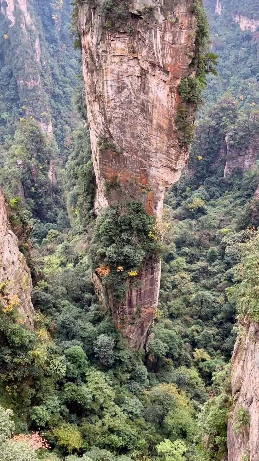 阿凡达悬浮山原型对比图片