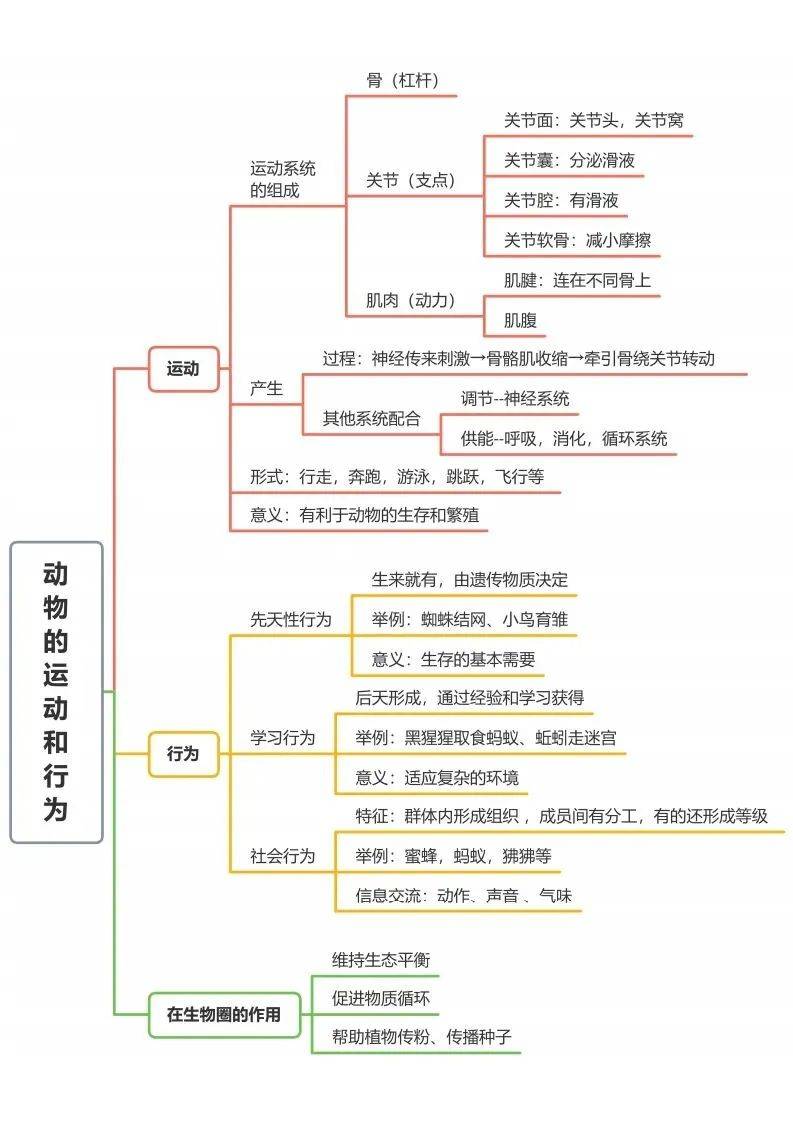 初中生物全册思维导图总结,所有必考点一目了然!