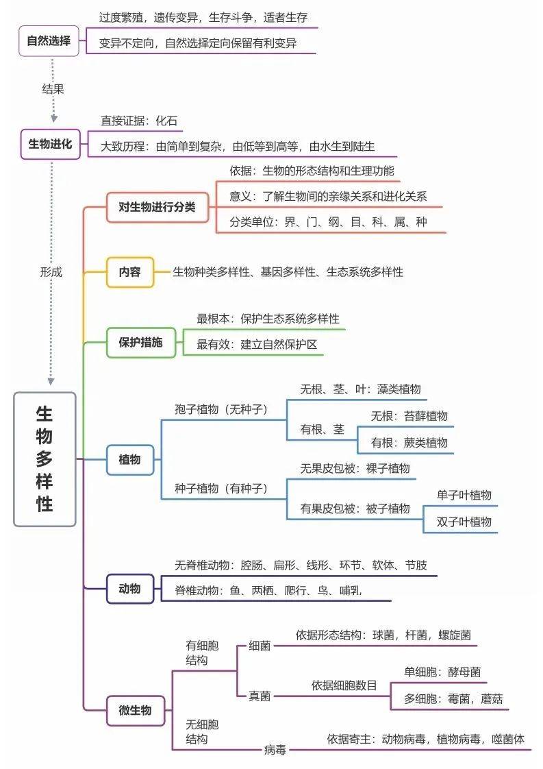 物种起源思维导图初中图片