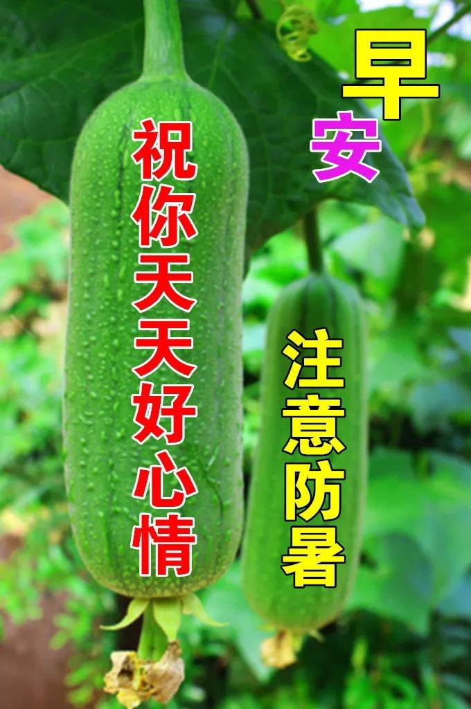 ​7月26日夏季早上好动态表情图片大全,天气炎热