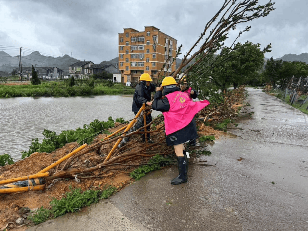防抗台风"格美","她们"是最美的风景线_防汛_宣传_工作