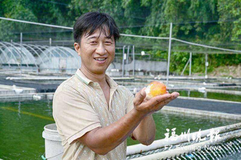 刘辉:高品质金鱼里"淘金"