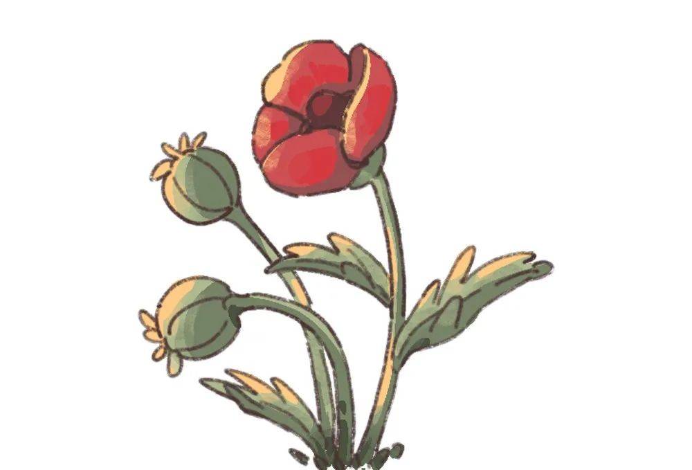 禁毒_贩毒_毒品