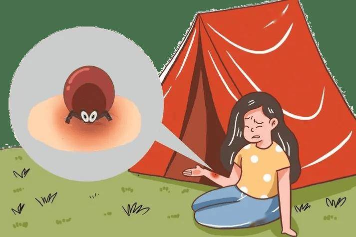 家里养的宠物猫狗包括人类自己都是它们寄生的对象,人们自己或者家里