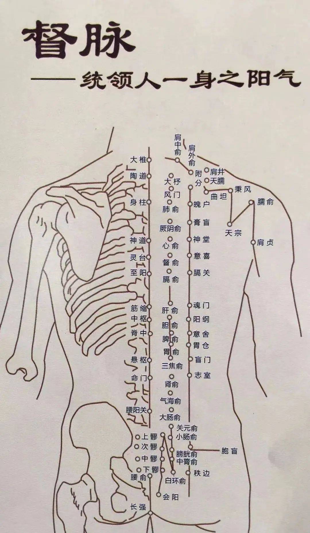 汤医科普 三伏话晒背