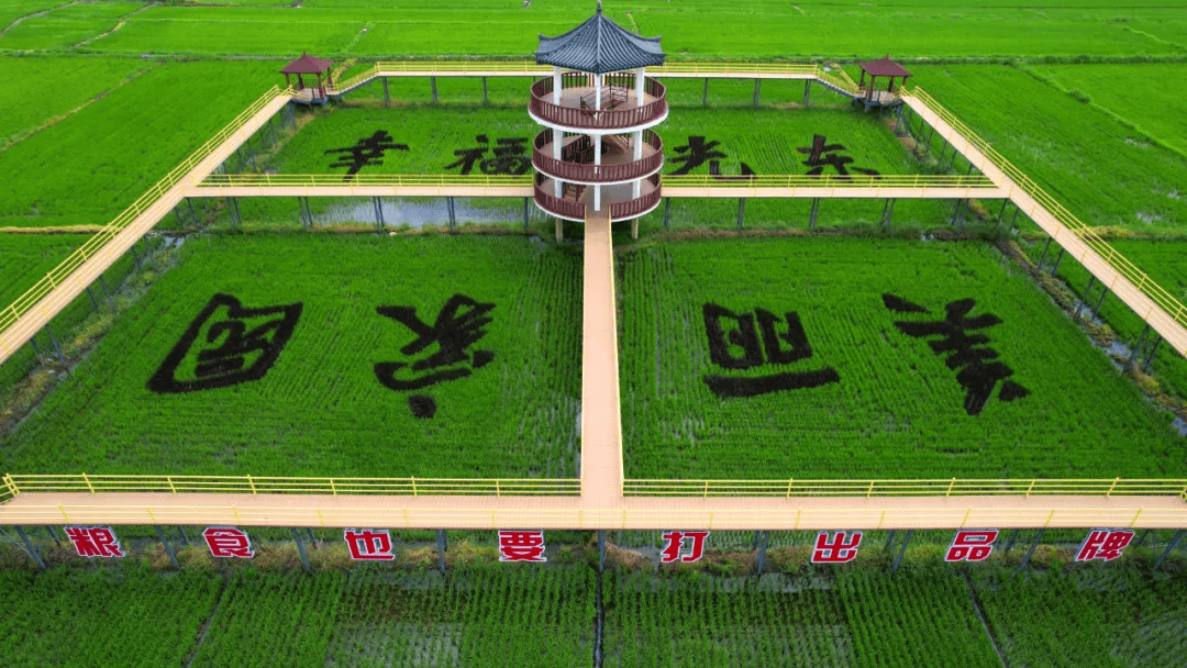 延边农业大学图片