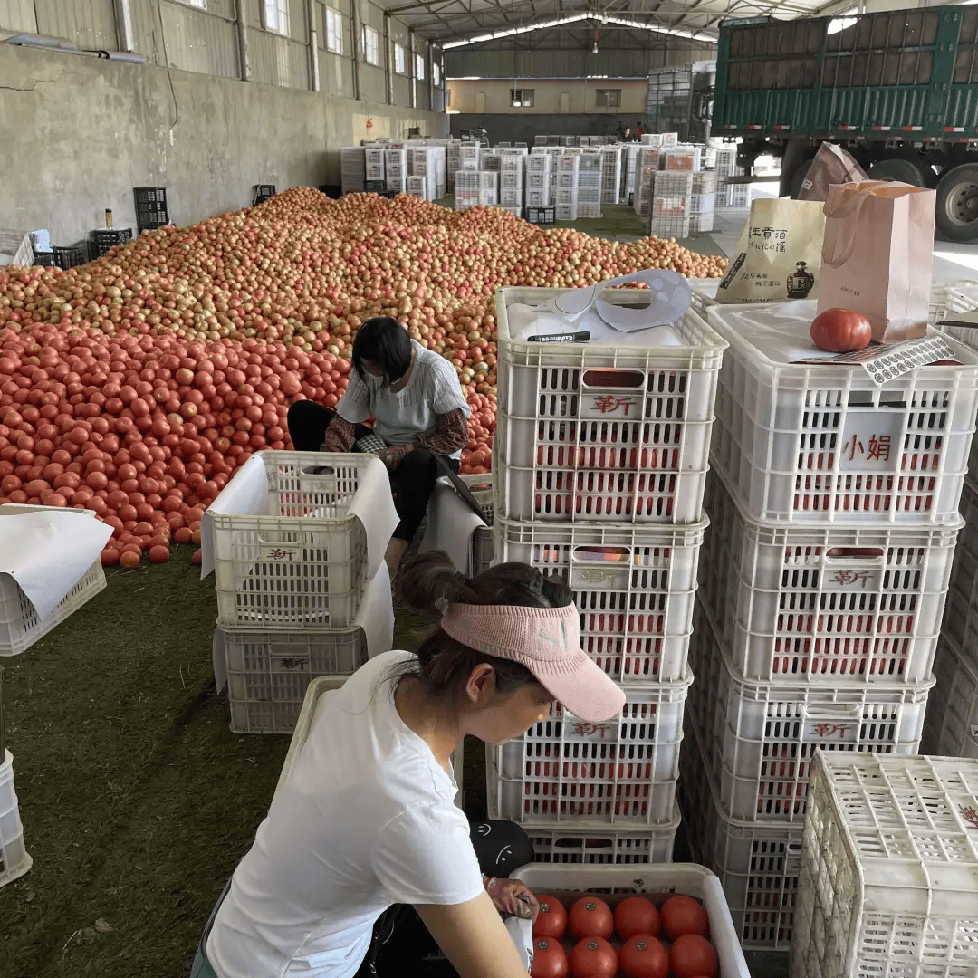 "她高兴地说.像刘玉萍这样的村民还有很多,他们通过在