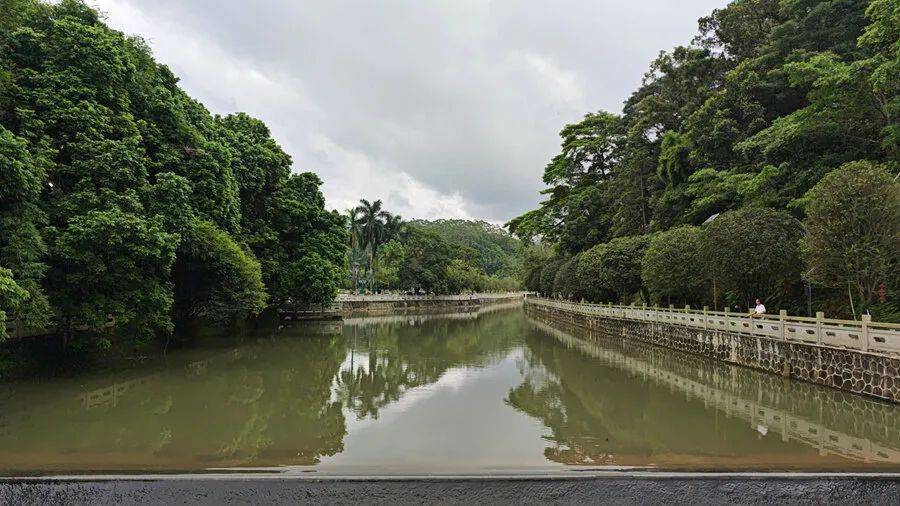 博罗柏塘:打好"乡贤牌" 奏响"振兴曲"