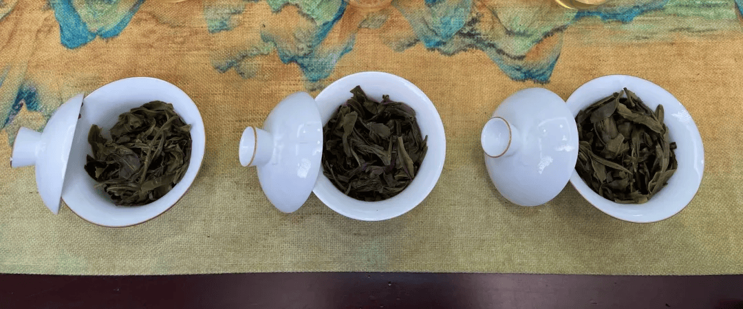 不同树龄的古树普洱茶，喝起来到底有啥区别？