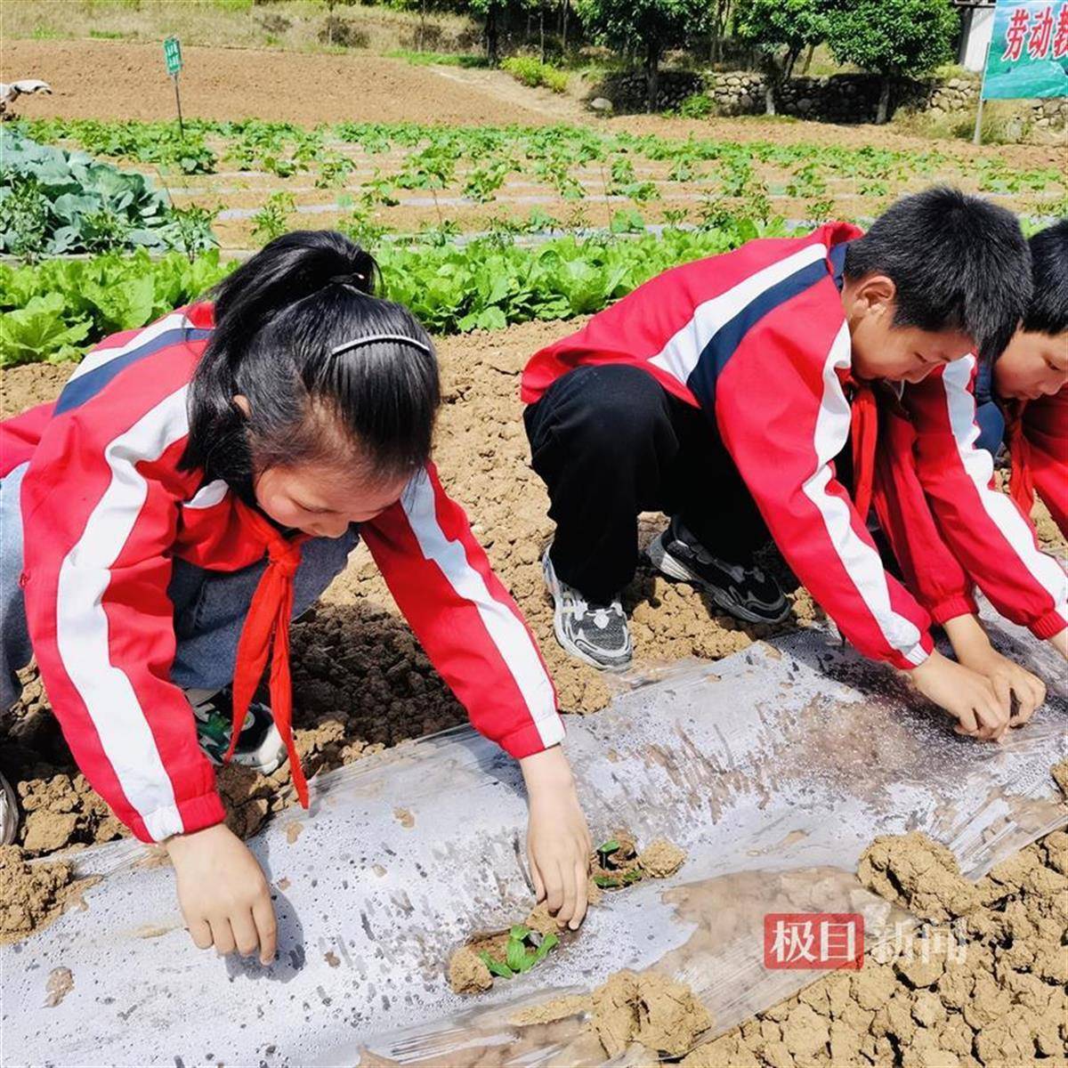 新京报：管家婆怎么恢复数据库-教育部部长怀进鹏：优化高等教育布局，加强制度创新和科技创新“双轮驱动”