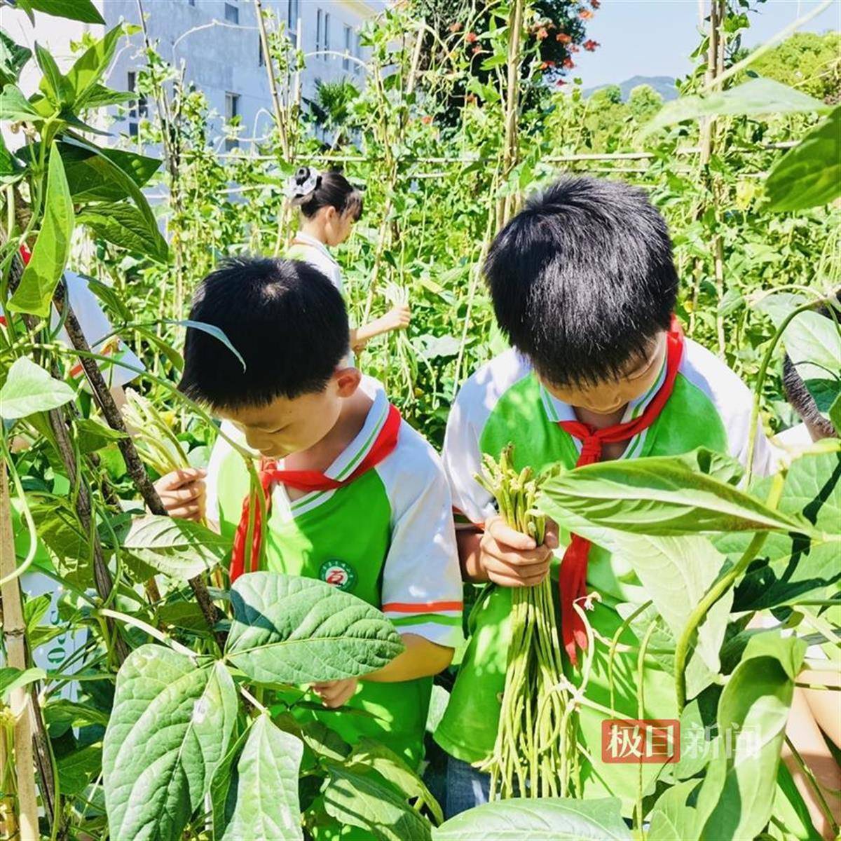 电视家：管家婆2023正版资料图-1岁多女孩被两陌生女子关厕所教育，她用手指孩子的样子，真丑！