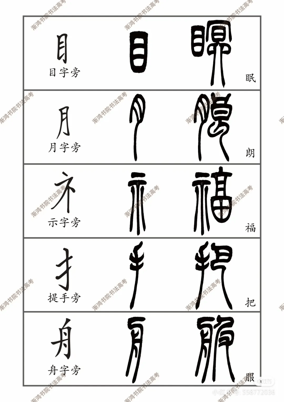 【技法】写篆书?把这猛练100遍你就一通百通