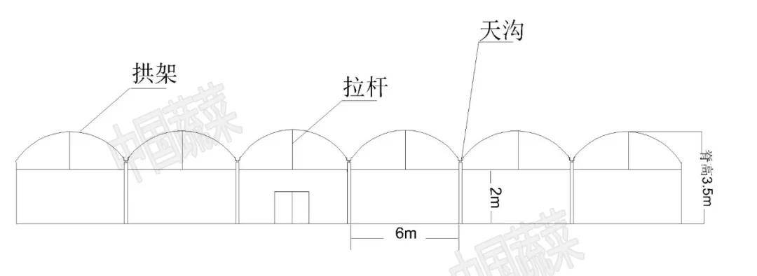 简易大棚搭建方法图片