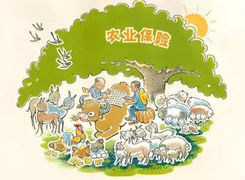 中华保险:深耕农业保险领域 不断创新服务模式