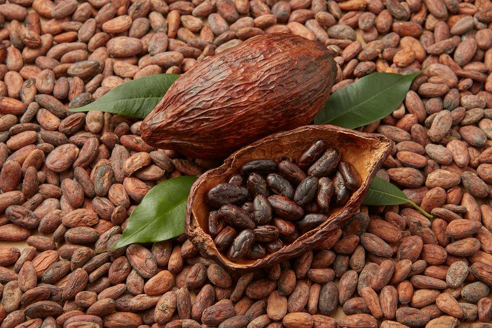 原材料可可价格暴涨,巧克力都吃不起了?