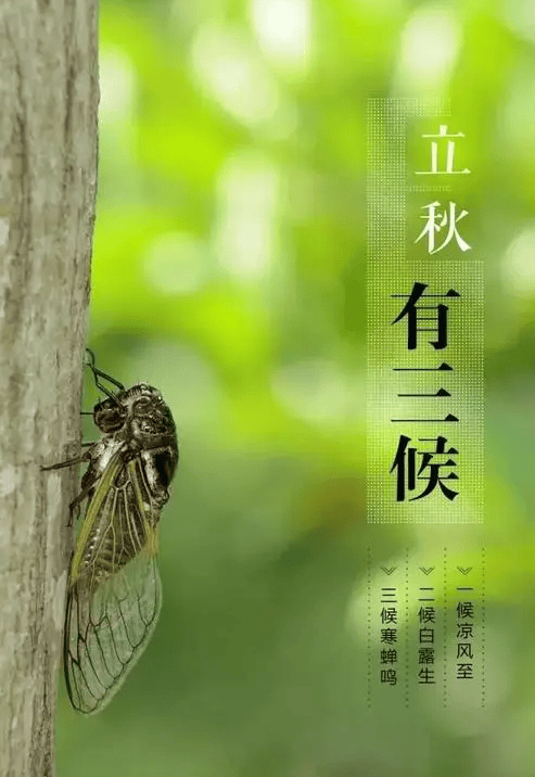 今日立秋：三俗三候三禁忌，还有三个不一般