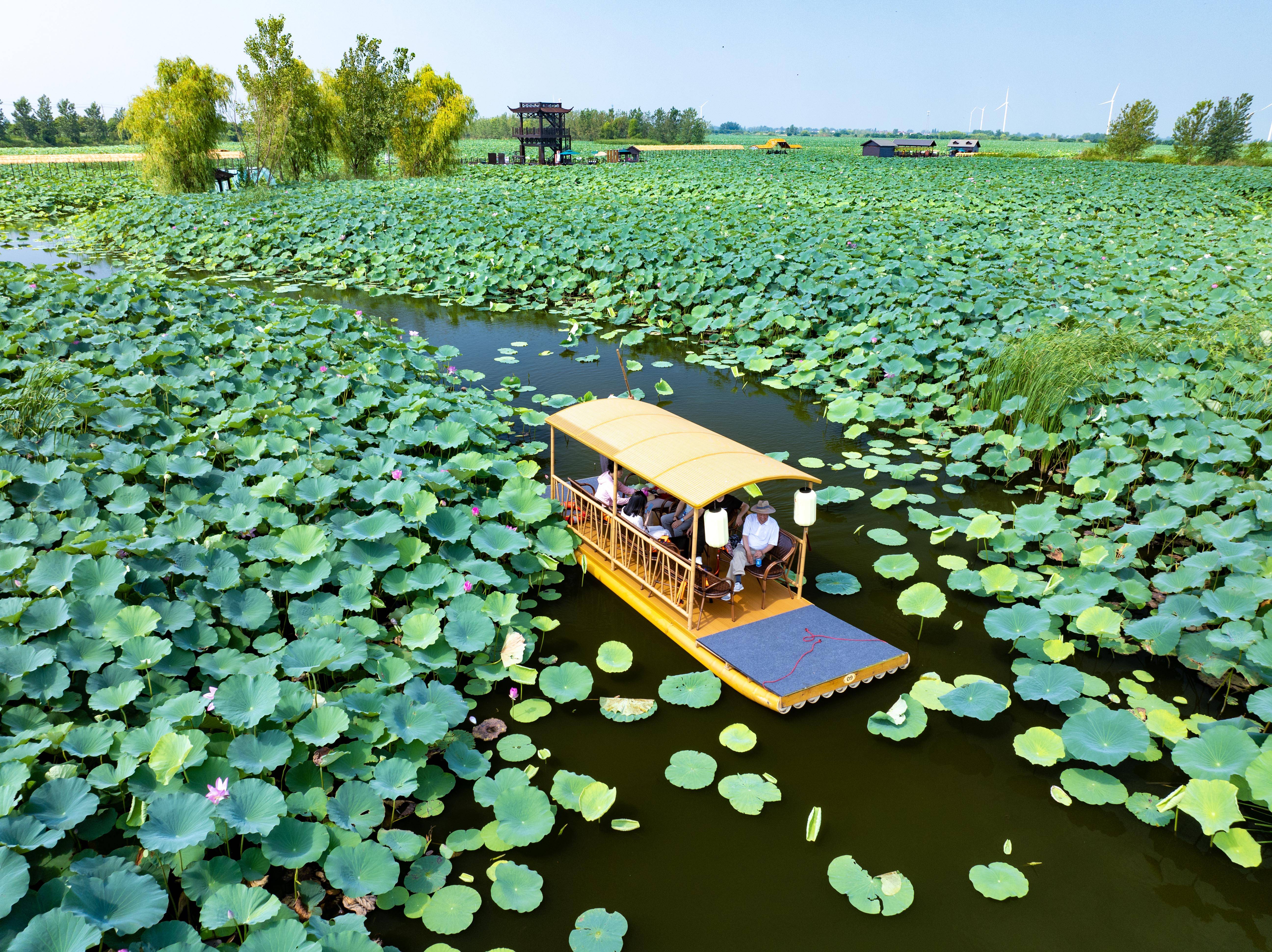 兴化周边城市旅游景点图片